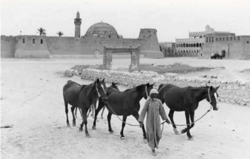 صدر حديثاً.. كتاب يروي تسلط العثمانيين في حكم الأحساء واغتيال “مح