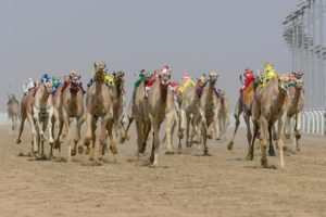 البكرة “اندفاع” تخطف نجومية مساء سادس أيام المهرجان