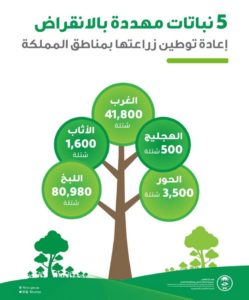 إعادة تأهيل 5 نباتات مهددة بالانقراض في المملكة