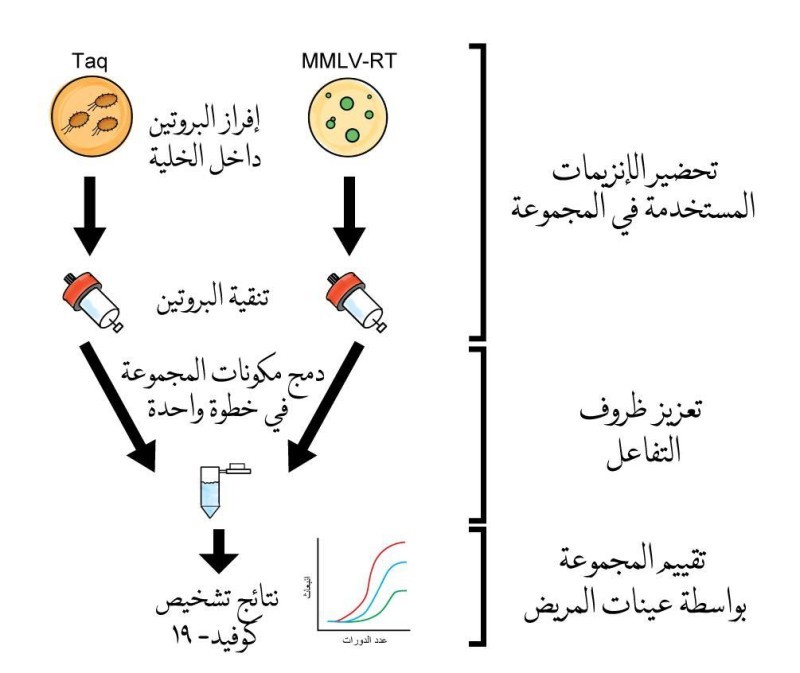 «كاوست» تنتج اختبارات PCR بمكونات محلية – أخبار السعودية