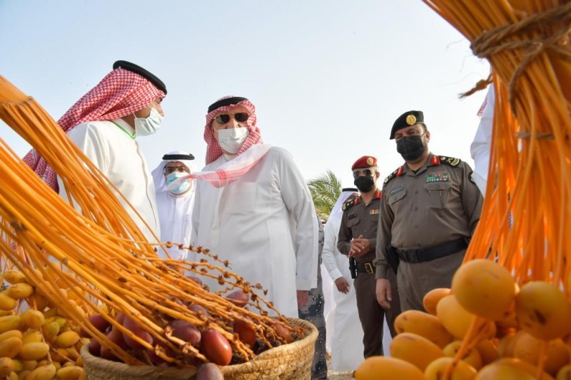 أمير جازان يشارك أهالي فرسان الاحتفاء بموسم «العاصف» السياحي وجني التمور – أخبار السعودية