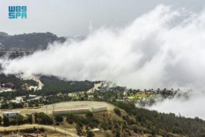 شاهد رئة الباحة.. عناق الأشجار والطبيعة والغيوم  يجعل غابة رغدان