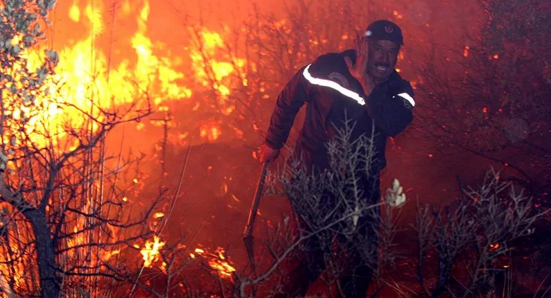 ارتفاع حصيلة قتلى حرائق الغابات في الجزائر إلى 42 شخصًا