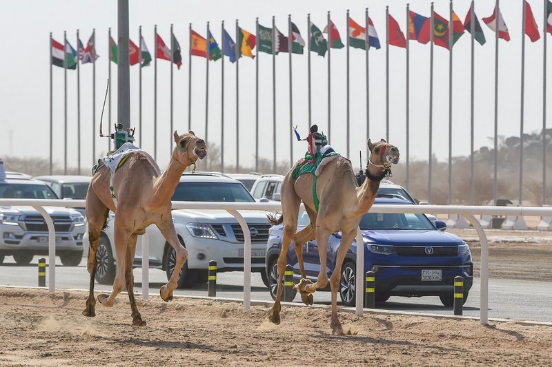 الأمريكي قاسم دين يخطف الإعجاب في اليوم السادس في مهرجان ولي العه