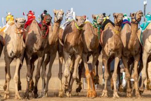 “قوقل” و”جمايل” يخطفان نوماس “الصباحية” للثنايا