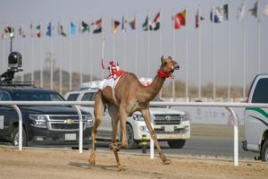 السعودية تتصدر نقاط جائزة سيف ولي العهد