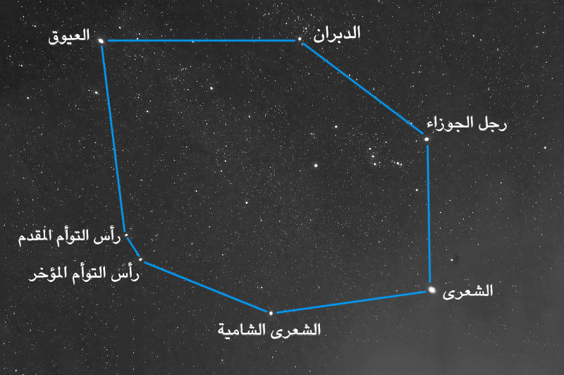 “دائرة الشتاء” تزيّن سماء الفجر أواخر الصيف