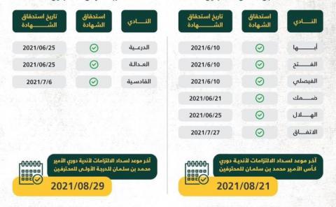 «الرياضة السعودية»: 10 أندية لم تحصل على «الكفاءة المالية»… و21 أغسطس الموعد الأخير