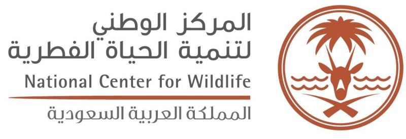 «الحياة الفطرية» يصدر تصاريح لطرح الصقور – أخبار السعودية