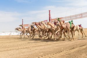 غداً.. انطلاق المرحلة النهائية من منافسات النسخة الثالثة لمهرجان