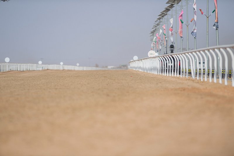 أرضية ميدان الطائف للهجن.. أعلى المعايير العالمية