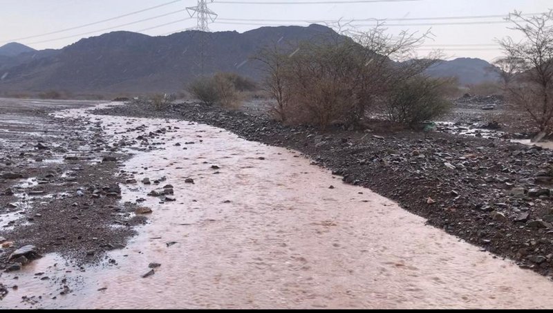 بالصور والفيديو.. أمطار وسيول على “وادي الفرع” جنوب المدينة المنو