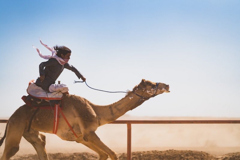 سباقات الماراثون.. ثقافة مليئة بالتفاصيل التراثية يتميز بها أهالي