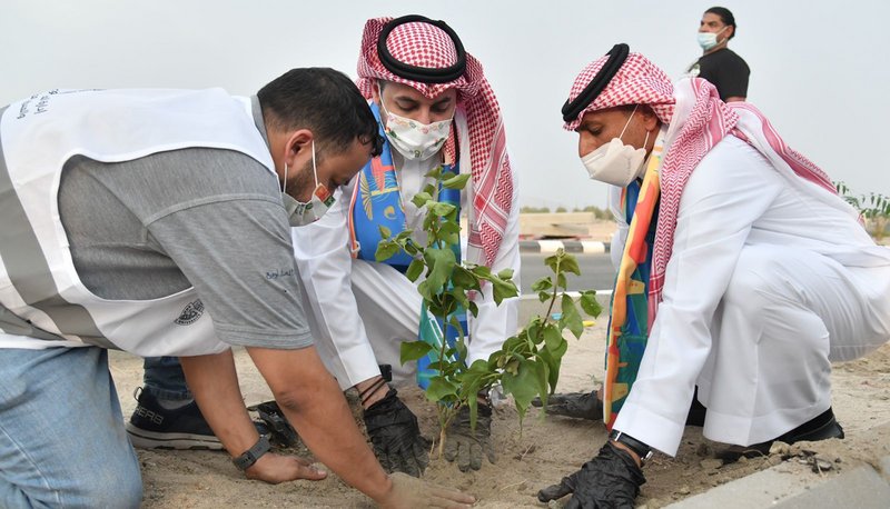 تدشين أول مشاريع مبادرة “أم القرى الخضراء” بالتزامن مع اليوم الوط