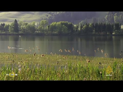 وثائقي البراري في جبال اوروبا