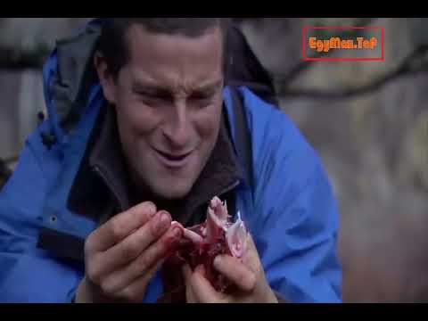 من اجل البقاء مع بير جريلز – الموسم الثالث_الحلقة10 Man vs Wild with bear Grylls