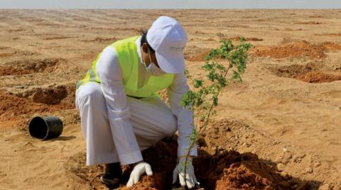 تجمع دولي لإعلان خريطة طريق المبادرات السعودية الخضراء