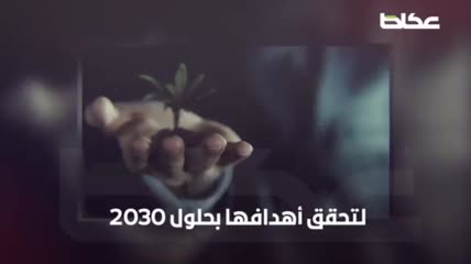 الاستراتيجية الوطنية للاستثمار.. مملكة الفرص – أخبار السعودية