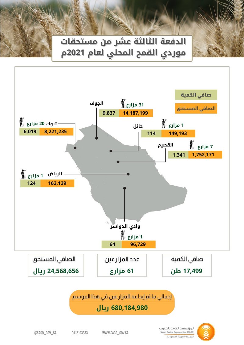 24 مليون ريال.. “الحبوب” تصرف مستحقات الدفعة 13 لمزارعي القمح الم