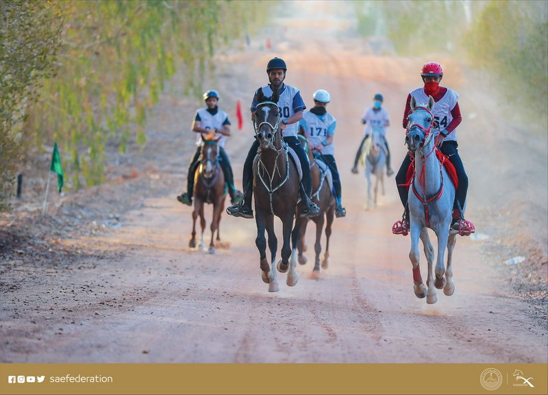 “السيالي” بطلًا لسباق كأس اللجنة الأولمبية السعودية للقدرة والتحم