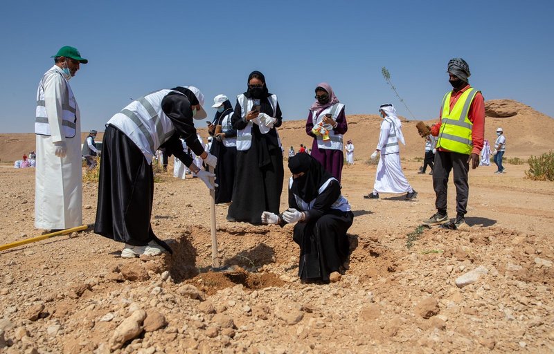 مركز الغطاء النباتي يطلق حملة “لنجعلها خضراء” بمحافظة شقراء