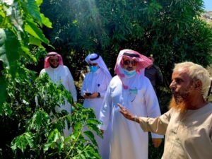 محافظ المجاردة ومديرو الإدارات في زيارة لجبل ريمان ومزرعة المسن “