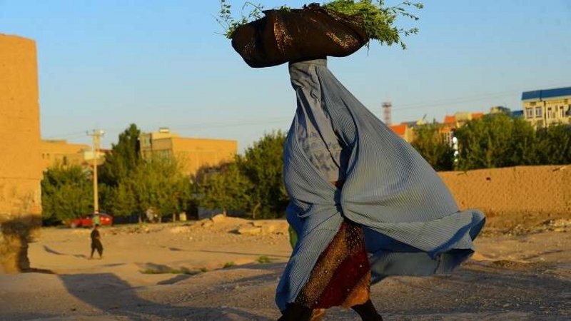 نصف الشعب الأفغاني يواجه انعداماً حاداً في ال