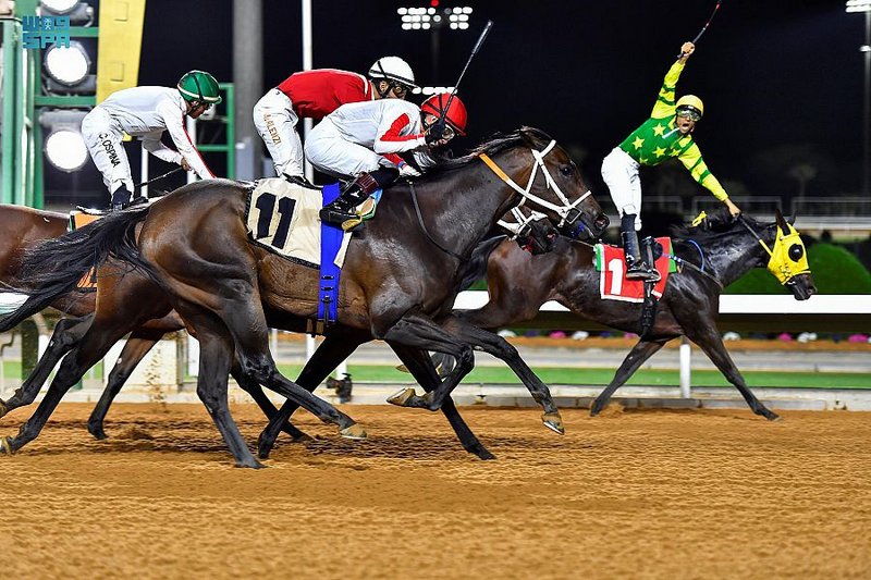 نادي سباقات الخيل يقيم سباقه الـ36 على كأسي إمارة نجران ووزارة ال