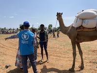 في مجلس الأمن، غوتيريش ينتقد طرد موظفين أممين من إثيوبيا ويعتبره “غير مسبوق” داعيا إلى التركيز على إنقاذ الأرواح