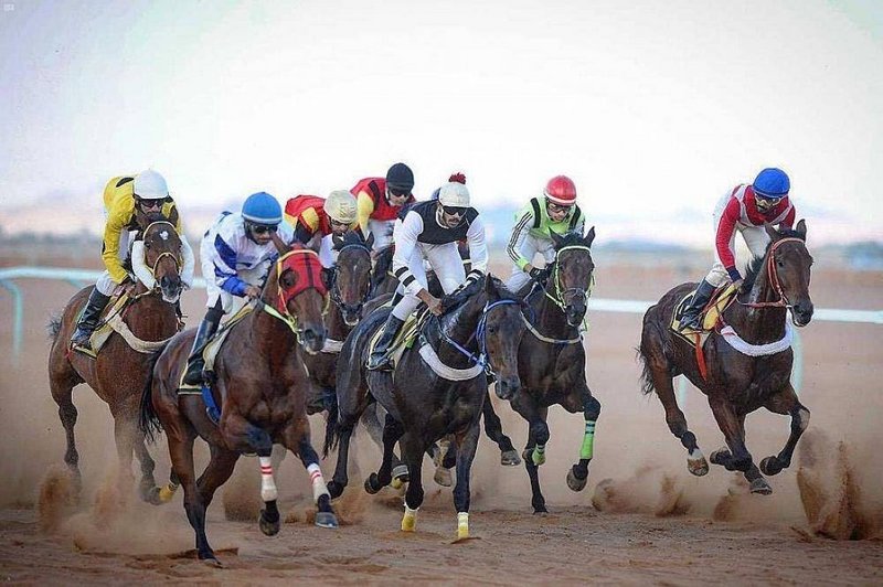 ميدان الفروسية بحائل ينظم حفل سباقاته الثالث.. غدًا الأربعاء