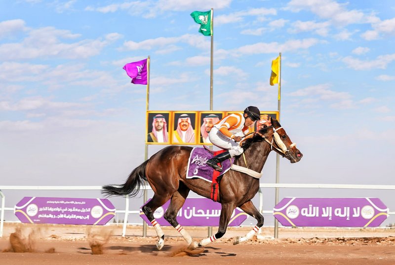 ميدان الفروسية بحائل ينظم حفل سباقه الرابع.. غدًا