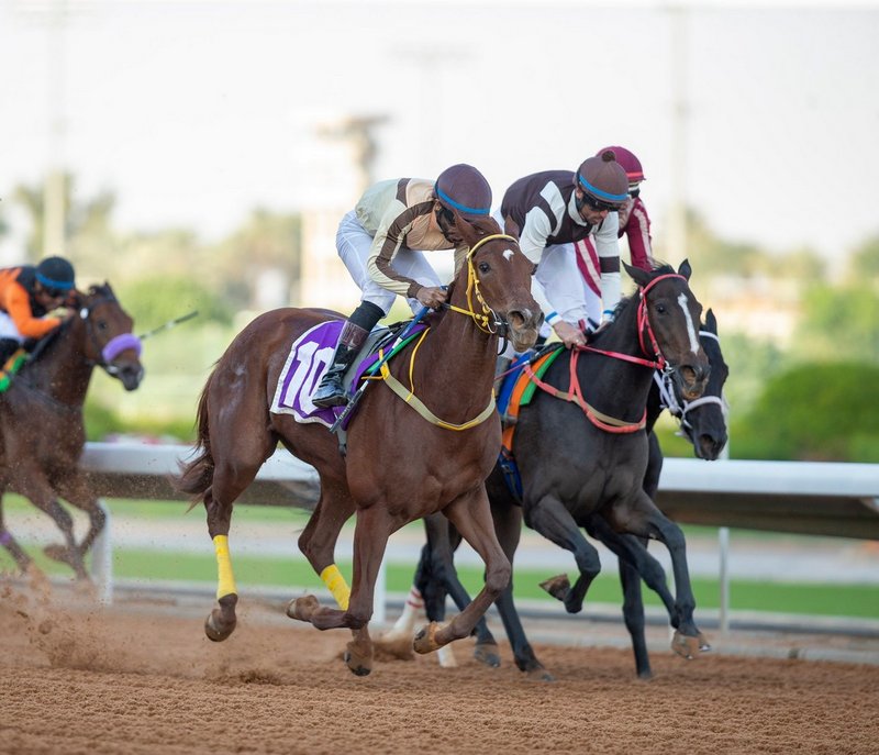 “الغنام” يفوز بجائزة نادي سباقات الخيل التقديرية