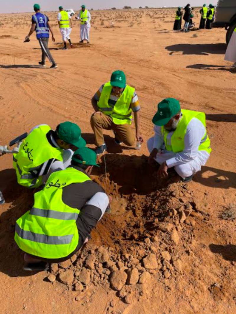 إدارة مهرجان الملك عبد العزيز للإبل تزرع 1500 شتلة في الصياهد