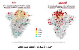 علماء إيطاليا أم هونج كونج.. مَن صاحب أول صورة لمتحور “أوميكرون”؟