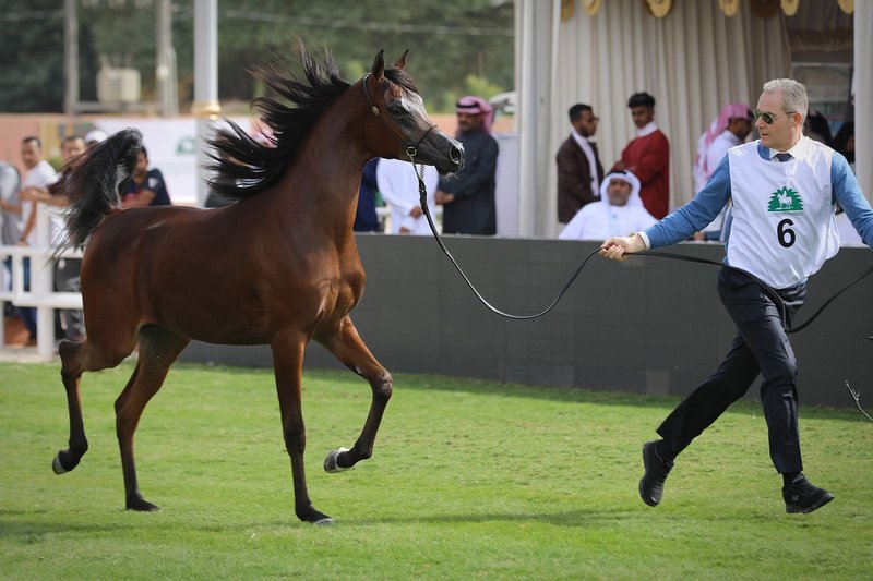 العقاقير والضجيج المفتعل واللباس و”الرموش”.. قوانين صارمة لعارضي