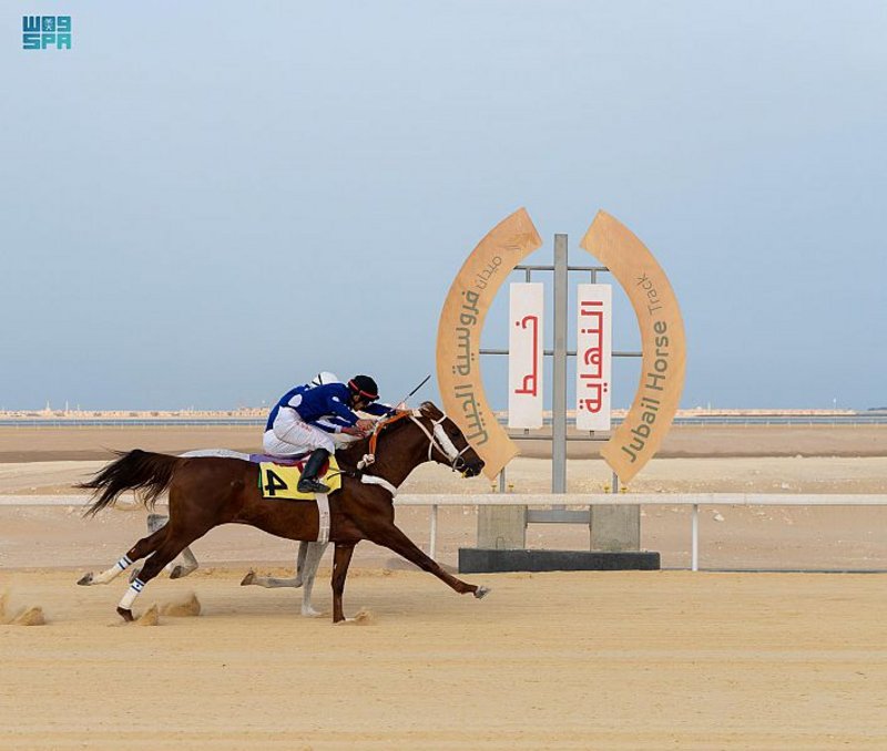 بالصور.. ميدان فروسية الجبيل يقيم حفل سباقه الثالث للموسم الحالي