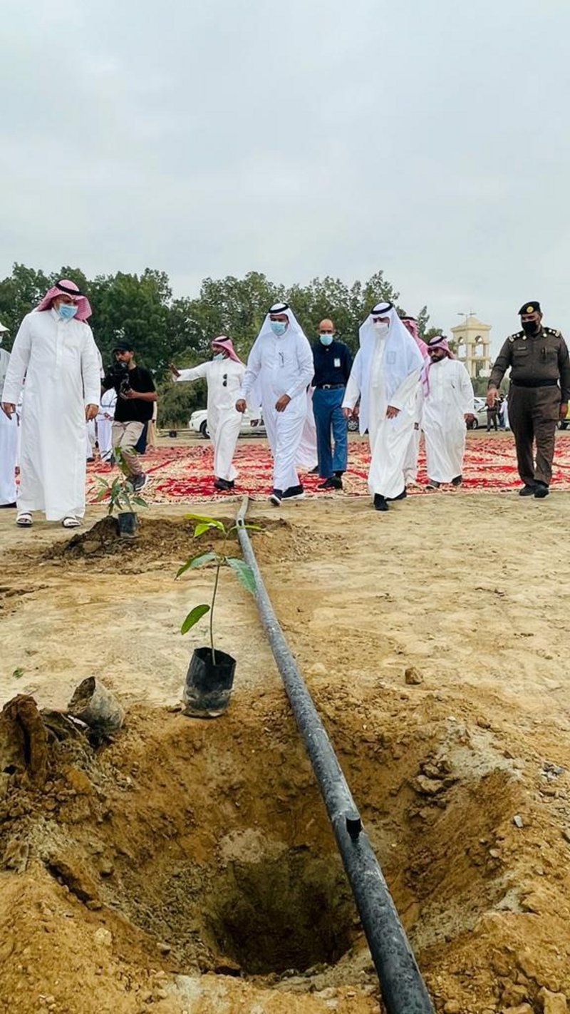 المركز الوطني لتنمية الغطاء النباتي بجازان ينفذ حملة “لنجعلها خضر