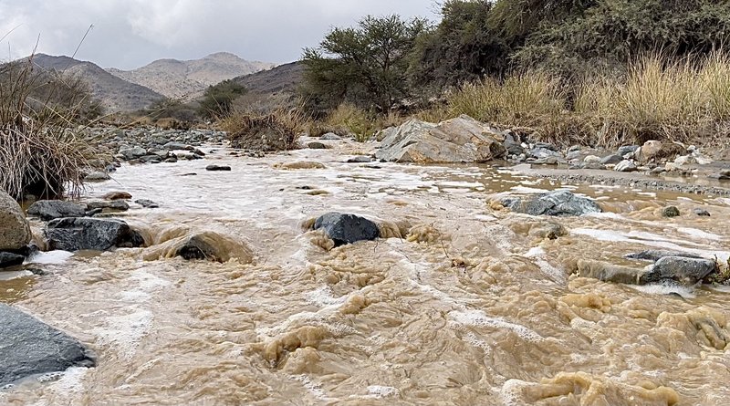 بالفيديو.. هطول أمطار متوسطة على محافظة بلقرن