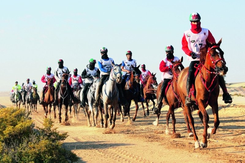 ماذا قال أبطال العالم في القدرة عن العلا في أول زيارة