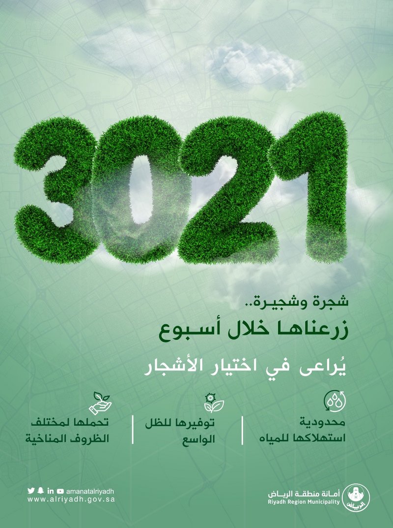 أمانة الرياض تزرع 3 آلاف شجرة خلال أسبوع لزيادة المساحات الخضراء