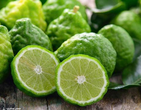 دراسة: مكملات نبات البرغموث تقلل الدهون الضارة خلال ثلاثين يوما فقط