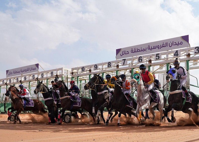 50 جوادًا و6 أشواط.. “سباق ميدان الفروسية الـ10” ينطلق بحائل غدًا