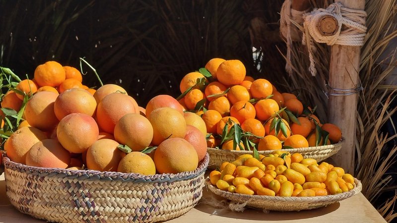 يناير الجاري.. “الهيئة الملكية للعلا” تطلق أول مهرجان للحمضيات