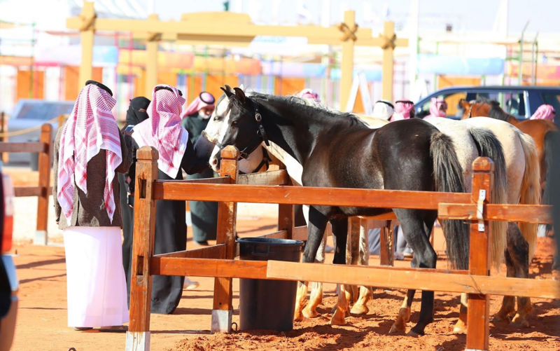 إقبال كبير على جناح مركز الملك عبدالعزيز للخيل العربية بمهرجان ال