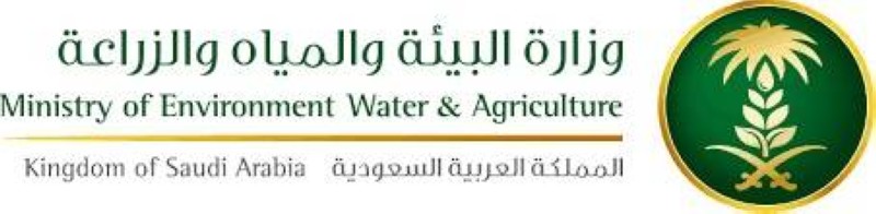 20000 ريال غرامة تربية النحل بلا ترخيص – أخبار السعودية