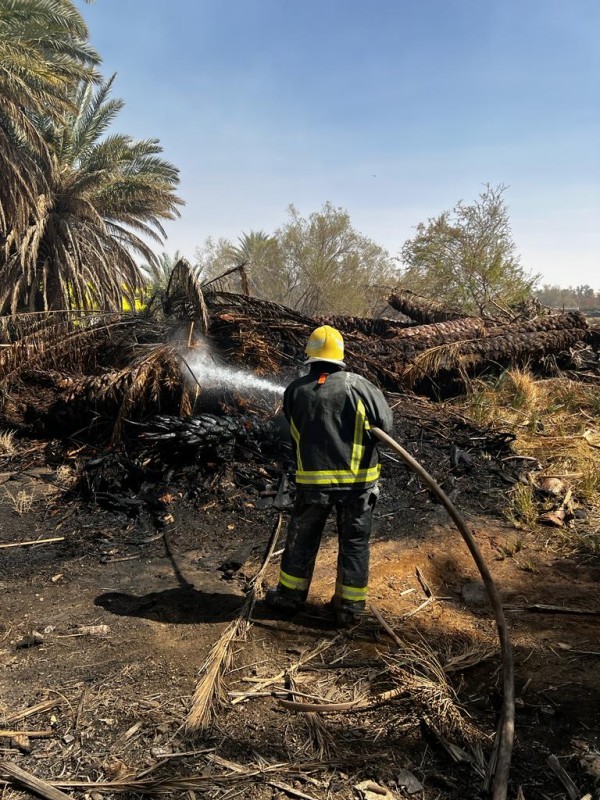 «مدني دومة الجندل» يسيطر على حريق مزارع.. والتحقيقات جارية – أخبار السعودية