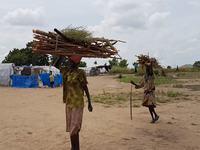 النساء والفتيات في جنوب السودان يكافحن العنف الجنسي المتصاعد وسط النزاعات وأزمات المناخ