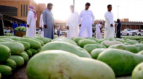 26.6 مليون دولار حجم مبيعات موسم البطيخ في السعودية