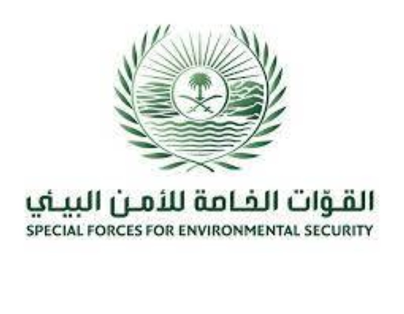 ضبط مواطن ظهر في مقطع فيديو على مواقع التواصل الاجتماعي يصيد كائناً فطرياً دون ترخيص – أخبار السعودية