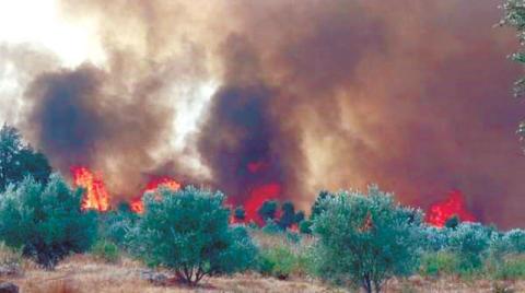 المغرب: مصرع 3 أشخاص جراء حرائق في تاونات والعرائش